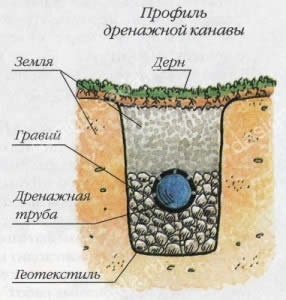 Drenarea terenurilor cu propriile lor mâini (adâncime superficială cu terenurile lor de proprietate mâini de drenaj) Drenarea terenurilor cu propriile lor mâini