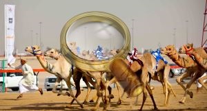 Ajman în EAU - în special pentru turiști, iar în cazul în care pe hartă (Emirate) Ajman în EAU - în special pentru turiști, iar în cazul în care pe hartă