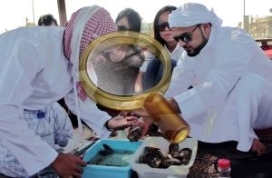 Ajman în EAU - în special pentru turiști, iar în cazul în care pe hartă (turiști) Ajman în EAU - în special pentru turiști, iar în cazul în care pe hartă