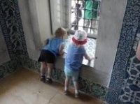Dacă eu nu votează, frumusețe, politica () Dacă eu nu votează, frumusețe, politica