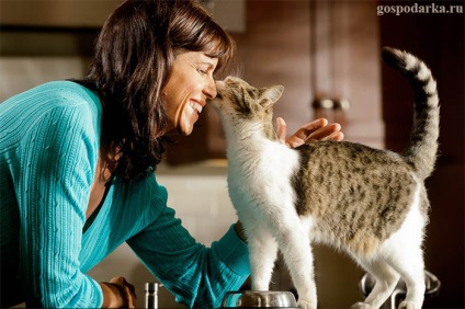 Aceste animale inteligente si ciudate - pisici (ciudat) Aceste animale inteligente si ciudate - pisici