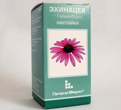 Descriere Echinacea, instruirea și utilizarea copiilor, ru-babyhealth (Echinacea) Descriere Echinacea, instruirea și utilizarea copiilor, ru-babyhealth