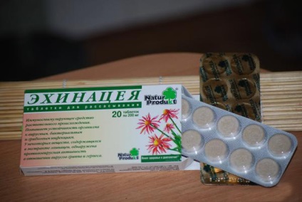 Descriere Echinaceea, instrucțiuni și aplicații pentru copii, ru-babyhealth (ru-babyhealth) Descriere Echinacea, instruirea și utilizarea copiilor, ru-babyhealth