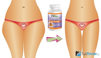 Forskolin pentru ghidul de pierdere în greutate, acțiunea de preț (instrucțiuni) Forskolin pentru ghidul de pierdere în greutate, impactul prețurilor