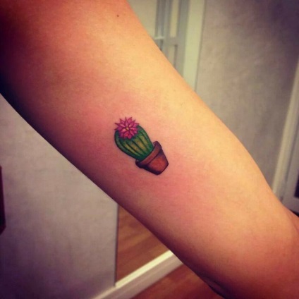 Fotografii și valoarea cactus tatuaj (valoare) Fotografii și semnificația de cactus tatuaje