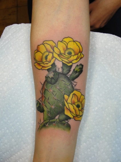 Fotografii și tatuaj valoare cactus (tatuaj) Fotografii și semnificația de cactus tatuaje