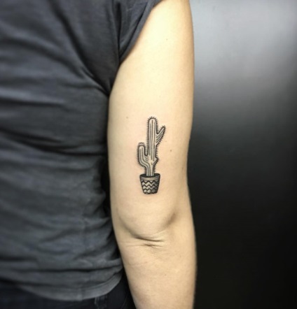 Fotografii și tatuaj valoare cactus (tatuaj) Fotografii și semnificația de cactus tatuaje