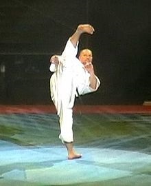 arte martiale gratuite de karate - o (karate) arte martiale gratuite de karate - un