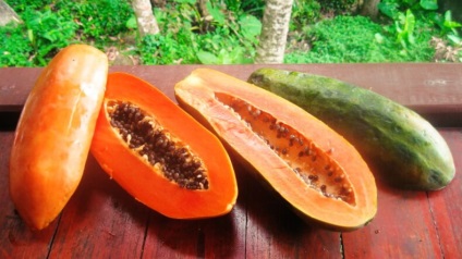 papaya Fructe - proprietăți utile și contraindicații (papaya) papaya Fructe - proprietăți utile și contraindicații