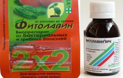 Fungicid „fitolavin“ descriere și instrucțiunile de utilizare (utilizator) Fungicid „fitolavin“ descriere și instrucțiuni de utilizare