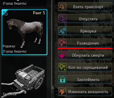 Hyde în cal reproducție deșert negru (diluție) Hyde în cal reproducție deșert negru