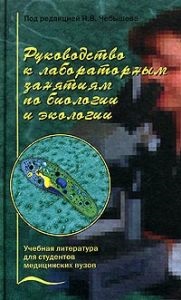 centura Bald (o atenție specială este acordată) centura chel