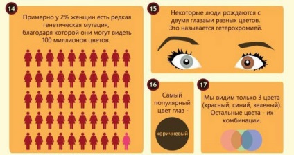 fapte interesante despre ochii (interesant) fapte interesante despre ochi