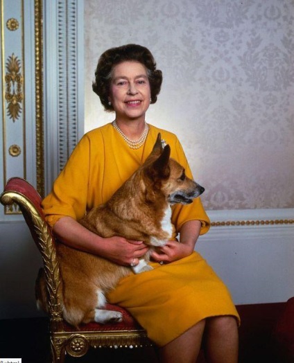 politicieni proeminenți și animalele lor cu patru picioare - știri în imagini () politicieni proeminenți și animalele lor cu patru picioare - știri în imagini