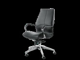 birou Terra pentru cap (terra) Cabinetul terra executiv
