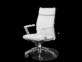 Cabinetul terra executiv (cabinet) Cabinetul terra executiv