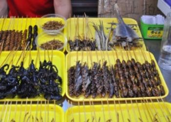 Ce gust Scorpions și ce mănâncă (mânca) Ce are un gust Scorpions și ce mănâncă