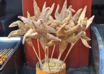 Ce are un gust Scorpions și ce mănâncă (gust) Ce are un gust Scorpions și ce mănâncă