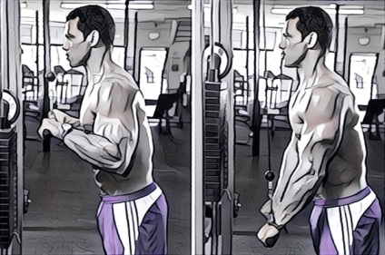 Cum de a construi mâinile în sala de gimnastică, Academia de sport (mâini) Cum de a construi mâinile în sala de sport, Academia de sport