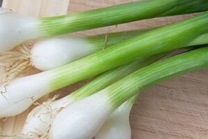 Cum pentru a curăța plămânii de nicotină (nicotină) Cum se curata plamanii de nicotina