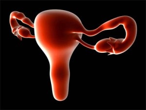 Cum de a opri sângerarea uterină la domiciliu - Tratamentul de remedii populare (sângerare) Cum de a opri sângerarea uterină la domiciliu - Tratamentul de remedii populare