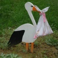 Cum să se pregătească pentru îndepărtarea părului (Fotoepilare) Cum să se pregătească pentru îndepărtarea părului