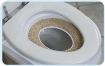 Cum de a obișnui pisica la vasul de toaleta (pentru a obișnui pisica toaletă) Cum de a obișnui pisica la toaletă