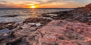 Cum să-și petreacă vacanța de vară (de vacanță) Cum să-și petreacă vacanța de vară