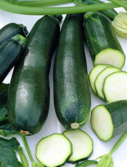 Cum de a planta dovlecelul si suc de fructe (plante) Cum de a planta suc de fructe și dovleac