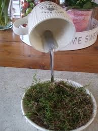 Cum sa faci un castron de multime, da Mari (master-class) Cum sa faci un castron de multime, da Mari