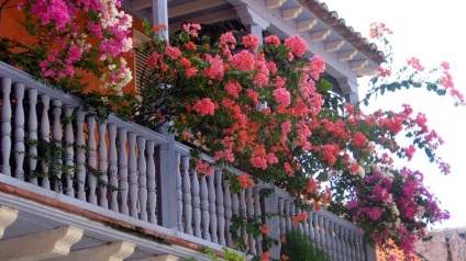 Cum sa faci o balustradă pe balconul de predare sale mâini fotografie (lor) Cum sa faci o balustradă pe balcon cu ghidul său mâini fotografie