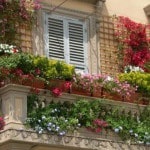 Cum sa faci o balustradă pe balcon cu instrucțiuni fotografia de mâini (vase pe balustrade pentru balcoane cu mâinile lor fotografie balustrade din fier forjat pe balcon fotografie balustrada de lemn înălțime balcon balustradă pe balustrada balconului de la balcon) Cum sa faci o balustradă pe balcon cu ghidul său mâini fotografie