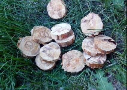 Cum de a face cărbune pentru narghilea în sine (do) Cum de a face cărbune pentru sine Narghilea