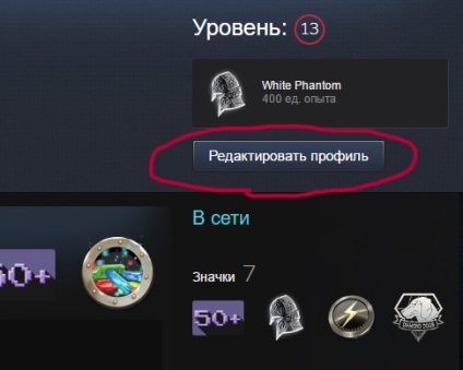 Ca STIM de profil de acoperire (STIM) Cum de a ascunde Steam Profil