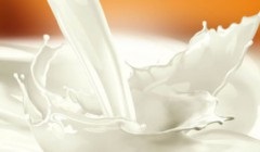 Cum ar trebui să contacteze consilierul de stat (Ilf Petrov ar trebui să fie numit) Cum ar trebui să contacteze Consilierul de Stat