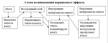 Cum de a alege și cum să poarte cizme de cauciuc infografic, infografice, argumente și fapte (pantofi) Cum de a alege și cum să poarte cizme de cauciuc infografic, infografice, argumente și fapte
