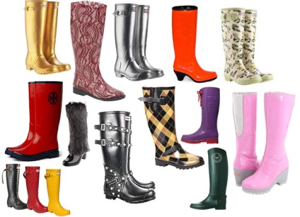 Cum de a alege cizme de cauciuc (cauciuc) Cum de a alege wellies