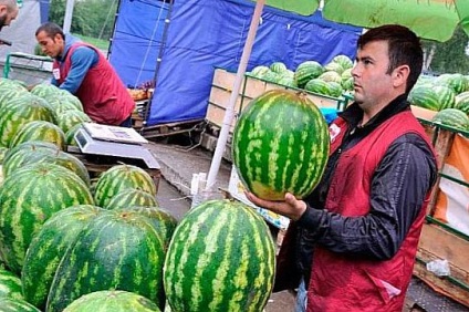 Cum de a alege un pepene copt 10 sfaturi de top! (Se determină gradul de coacere de pepene verde) Cum de a alege un pepene copt 10 sfaturi de top!