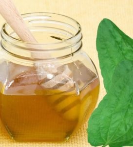 bulbit catarale ce este, tratamente (Helicobacter pylori bacterie) bulbit catarale ce este, tratamente