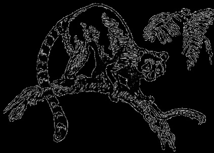epoca Cainozoic (Cainozoic) epoca Cainozoic