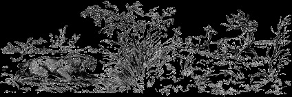 epoca Cainozoic (Cainozoic) epoca Cainozoic