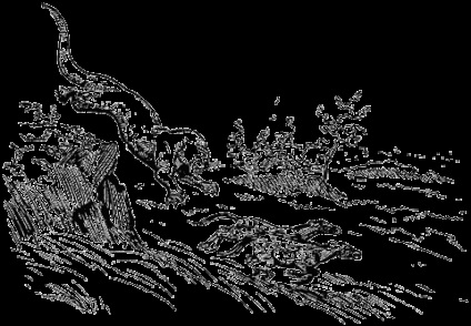 Epoca cenozoic (rămășițelor animale de plante) epoca Cainozoic