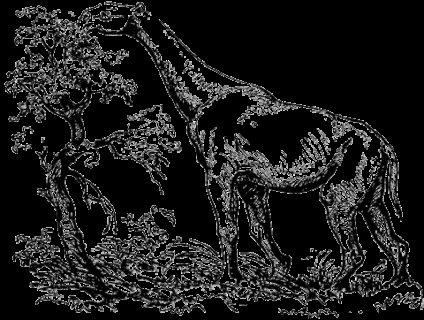 Epoca cenozoic (rămășițelor animale de plante) epoca Cainozoic