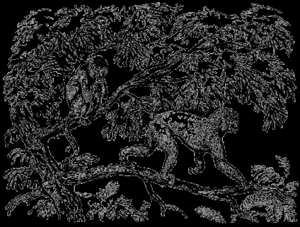 Epoca cenozoic (rămășițelor animale de plante) epoca Cainozoic