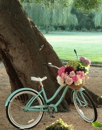 Ce vis de a merge pe o bicicletă (pentru a merge) Ce vis la o plimbare cu bicicleta