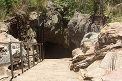 Leagănul Omenirii (leagăn al omenirii) descrierea și fotografii (Johannesburg Atracții) Leagănul Omenirii (leagăn al omenirii) descrierea și fotografii