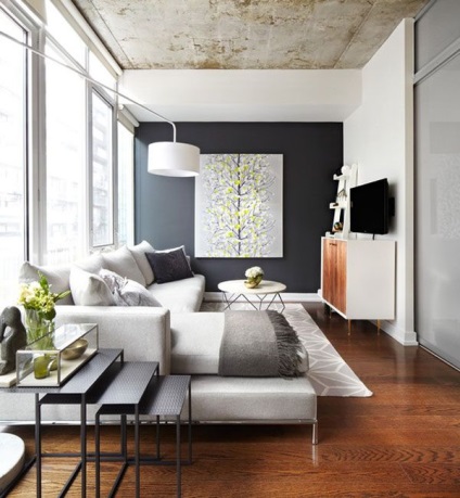O cameră de 16 metri pătrați de design de fotografie și interior (interior) O cameră de 16 metri pătrați și design interior fotografie