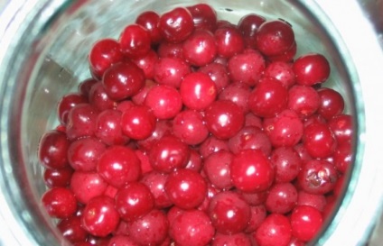 Compot de fructe de pădure - cum să gătească (fructe de pădure) Compot de fructe de pădure - cum să fiarbă