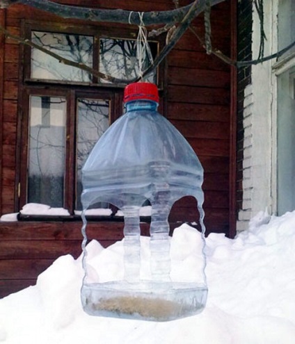 Alimentator pentru păsări cu mâinile (feeder) Alimentator pentru păsări cu mâinile lui
