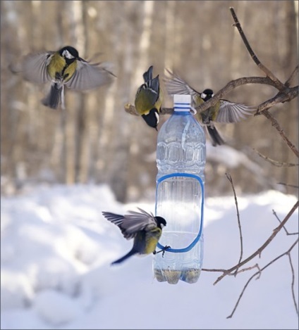 Alimentator pentru păsări cu mâinile (feeder) Alimentator pentru păsări cu mâinile lui